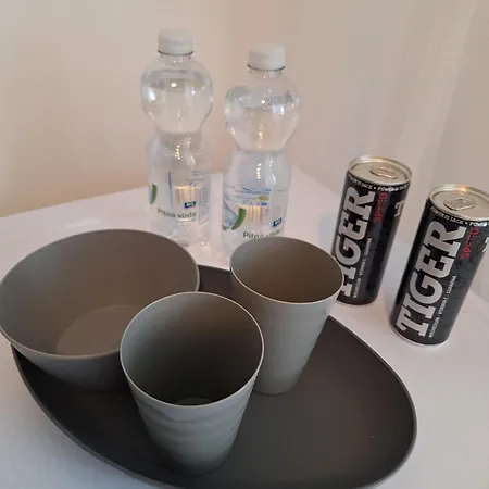 Hotel Hotelak Martinov